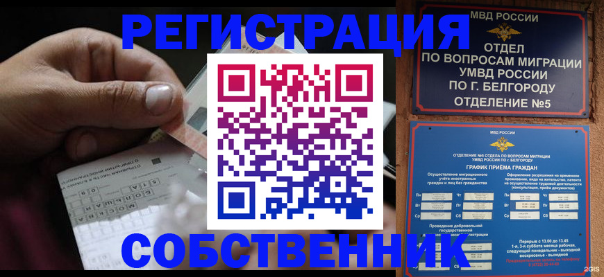 временная регистрация госуслуги в Дмитрове